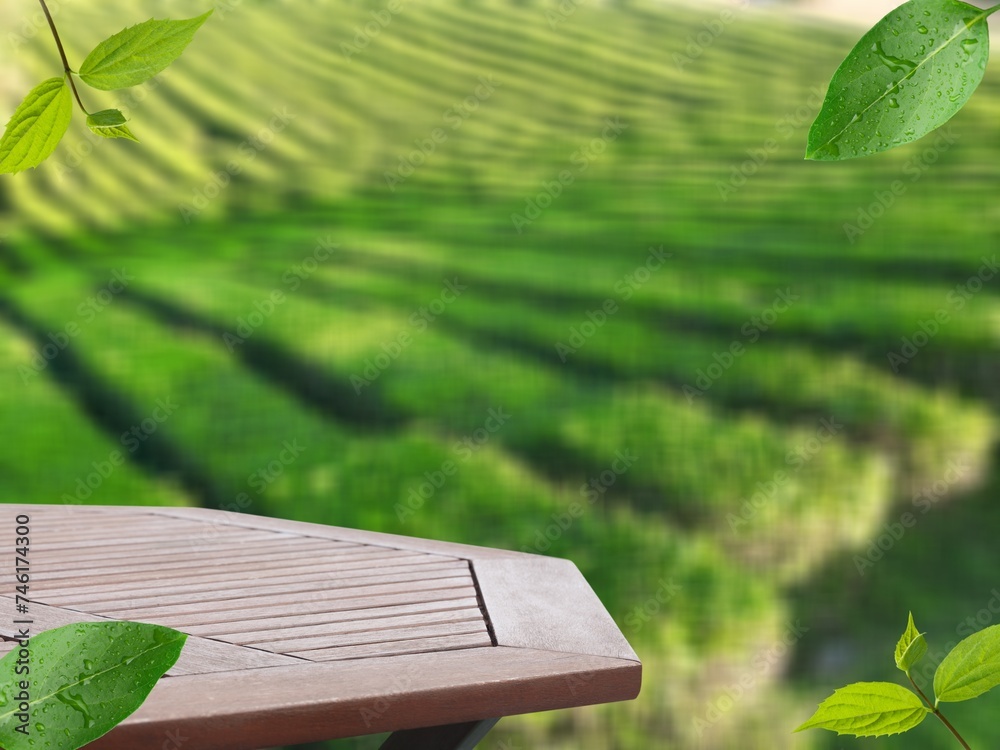 Canvas Prints wooden tabletop on green nature background