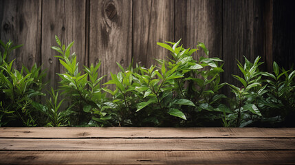 Fresh spring green grass and leaf plant over wood fence background.