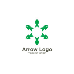 Luxury arrow logo design