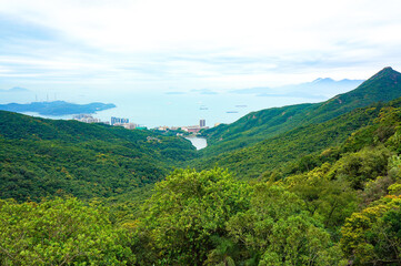 Fototapeta na wymiar 山の上から眺める港