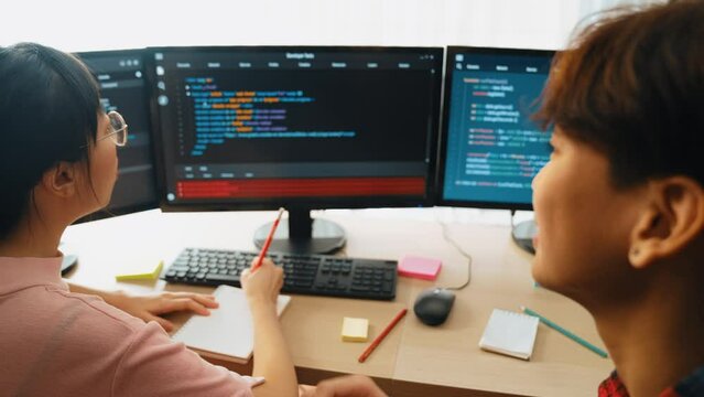Back end software developer engineer for computer programming working together on debugging writing computing code, solving complex algorithms display on monitor in office. Burgeoning