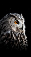 Majestic Close-up of Eagle Owl with Intense Orange Eyes on Dark Background