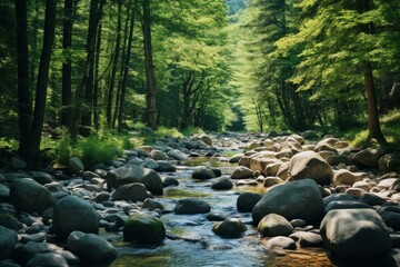 Smooth Forest river rocks. Nature creek. Generate Ai