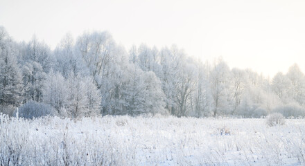 Cold winter day, beautiful hoarfrost and rime on trees