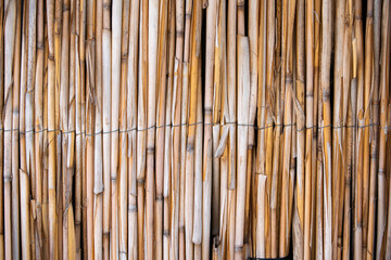 A full frame of a bamboo screen, showcasing the varying tones and textures of the bamboo sticks tied together