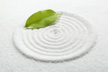 Fototapeta na wymiar Zen rock garden. Circle pattern and green leaf on white sand