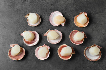 Many fresh raw scallops in shells on grey table, flat lay