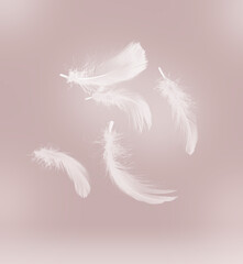 Fluffy bird feathers falling on pale brown background