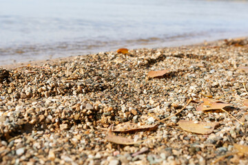 Pebble beach with fallen leaves on the background of the sea