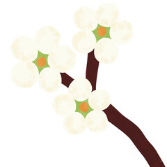 White Springs Flower