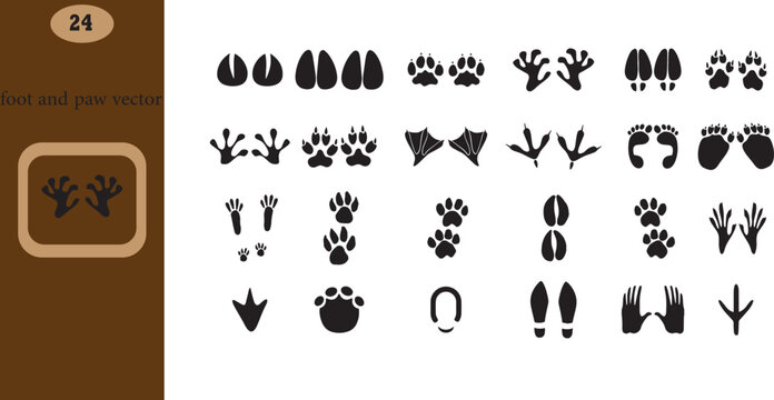 set of different foot and paw vector
