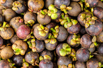 Closeup of fresh ripe mangosteen fruits for sale in a market at Thailand