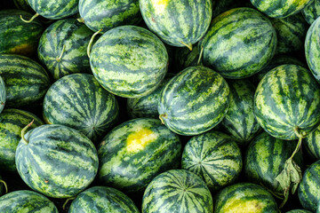 Many big sweet green watermelons at a market in Thailand