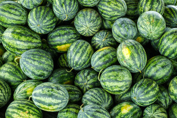 Many big sweet green watermelons at a market in Thailand