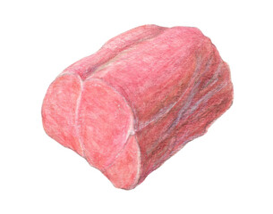 豚ヒレ肉　水彩色鉛筆イラスト