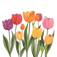 Fototapeta premium Whimsical Tulip Plant Vector: Adorable Floral Design, White Background