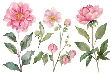 Pastel HarmonyEucalyptus and Pink Watercolor - obrazy, fototapety, plakaty