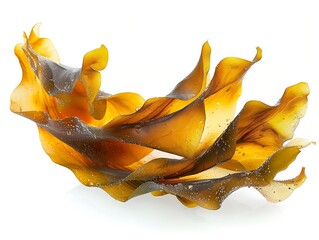 Generative AI : swaying kelp seaweed isolated on white background. - obrazy, fototapety, plakaty