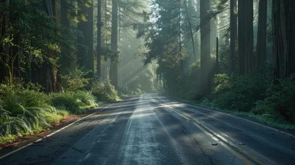Fototapeten Scenic road in forest. © Oulaphone