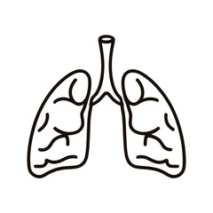 Fototapeta premium Lungs vector illustration