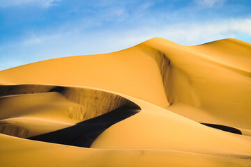sand dunes in the desert