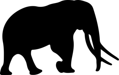 Elephant Silhouette