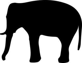 Elephant Silhouette