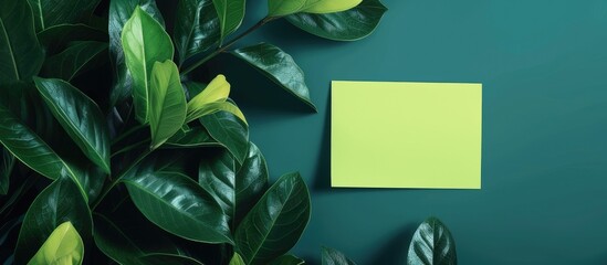 A vibrant green plant with lush leaves grows next to a bright yellow piece of paper. The contrast between the natural greenery and the manmade paper creates an interesting visual composition.