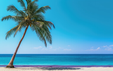 Palm tree on tropical beach wallpaper banner with empty space for copy