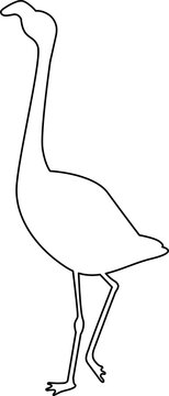 recommend clip art: flamingo outline icon symbol