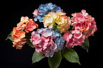 Colorful Six artificial hydrangeas. Floral colorful decoration in glass vases. Generate ai