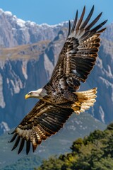 A sizable bird in flight above a vibrant, grassy hillside.