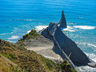 Australasian Gannet Colony at Cape Kidnappers
