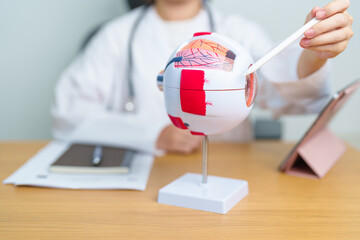 Doctor with human Eye anatomy model with magnifying glass. Eye disease, Refractive Errors, Age Related Macular Degeneration, Cataract, Diabetic Retinopathy, Glaucoma, Amblyopia, Strabismus and Health