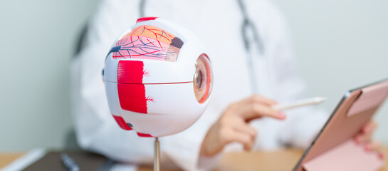 Doctor with human Eye anatomy model with magnifying glass. Eye disease, Refractive Errors, Age...