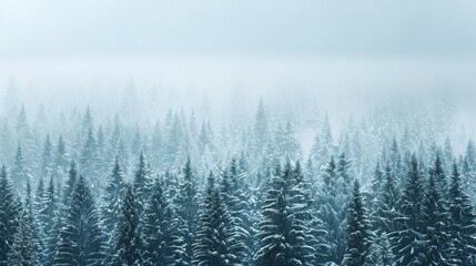 Panoramic landscape of a snowy forest during a quiet snowfall, creating a tranquil winter wonderland.