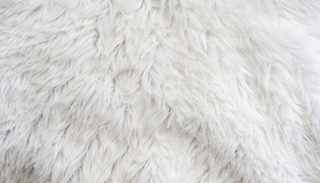 Close up old white color synthetic fur, white wool texture background, cotton wool, white fleece, light natural sheep wool, fur of paint roller brush, top view skin and soft wool texture background.