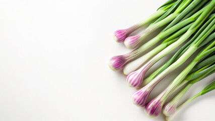 Fresh purple striped garlic bulbs with green stems arrayed neatly on a white background, ideal for culinary themes and healthy eating concepts
