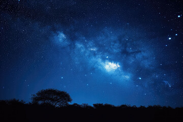 Fototapeta na wymiar Starry Night Sky with the Andromeda Galaxy.
