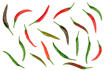 chili pepper isolated