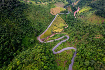 Aerial view of road in beautiful green forest at sunset in spring. Colorful landscape - 746232706