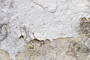 Light Gray Stucco Wall Texture. Abstract Background
