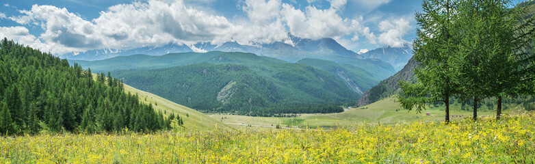 Panoramic view of a picturesque mountain valley, green meadows and forests, snow-capped peaks,...