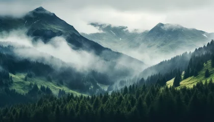 Fotobehang foggy mountain landscape moody © png sublimation