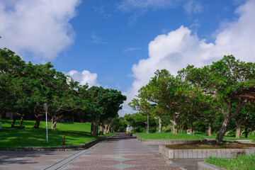 琉球大学キャンパス