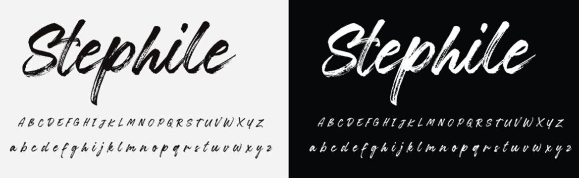 Lettering signature font isolated on grey background. brus style alphabet. Vector logo letters.