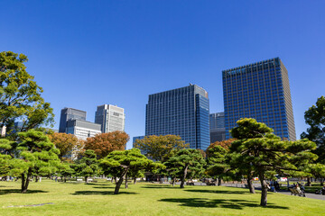 Obraz premium 丸の内高層ビル 東京都千代田区