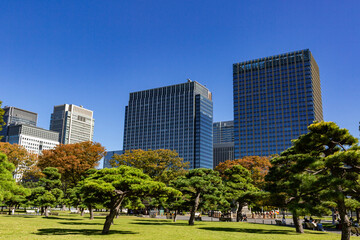 Fototapeta premium 丸の内高層ビル 東京都千代田区