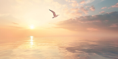 sunset over the sea, sunset over the sea and bird is flying, 