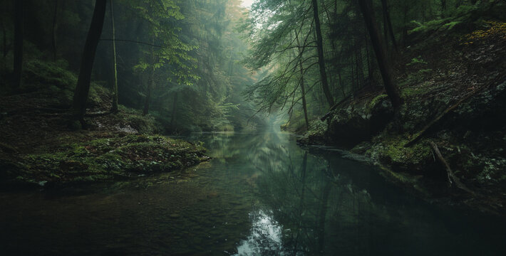 Get lost in the serenity of these nature-inspired stock images realistic photography
